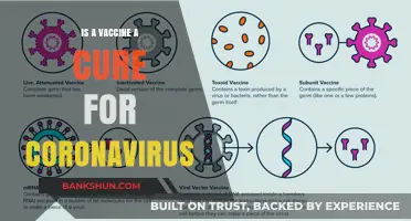 Vaccines vs. Coronavirus: Prevention, Not Cure, Explained