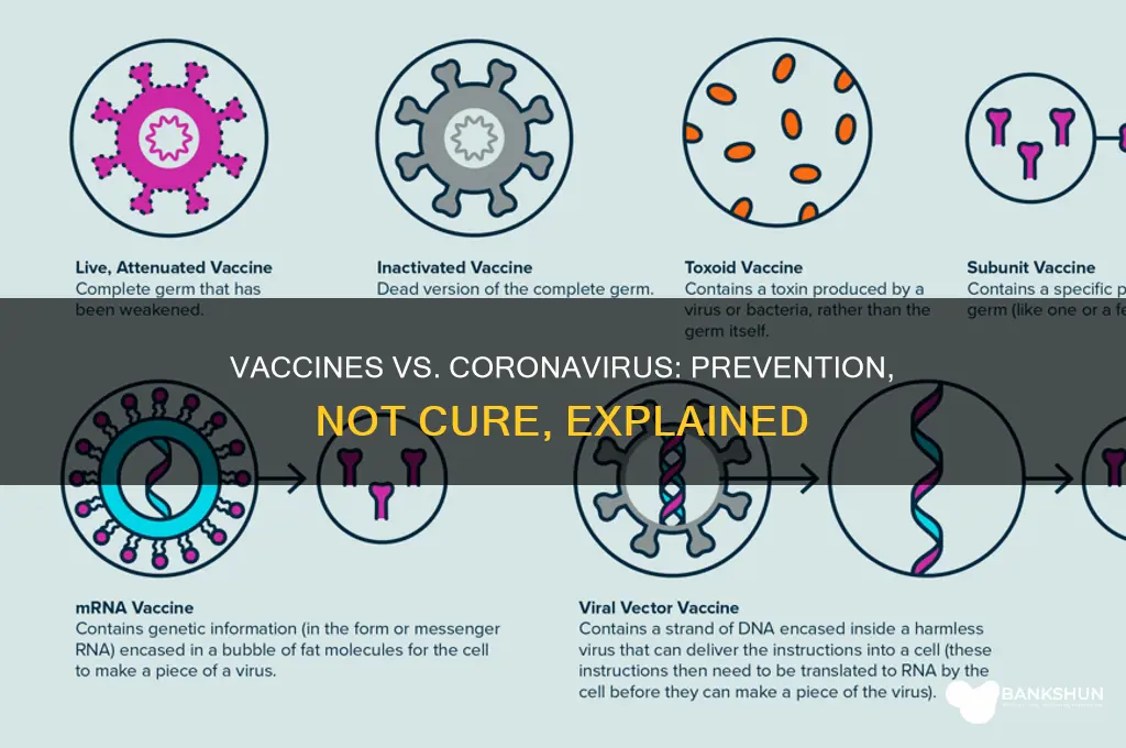 is a vaccine a cure for coronavirus