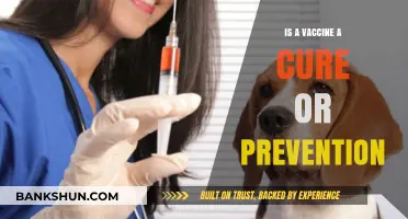 Vaccines: Understanding Their Role in Prevention vs. Cure Explained