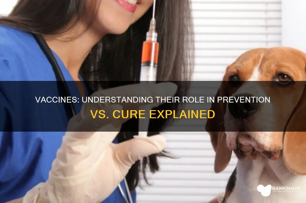 is a vaccine a cure or prevention