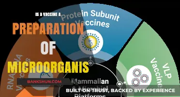 Understanding Vaccines: Are They Microbial Preparations for Immunity?