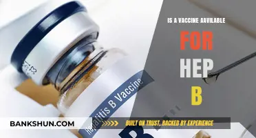 Hepatitis B Vaccine: Availability, Effectiveness, and Importance Explained