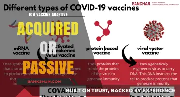Vaccine Immunity: Adaptive Acquired vs. Passive Protection Explained