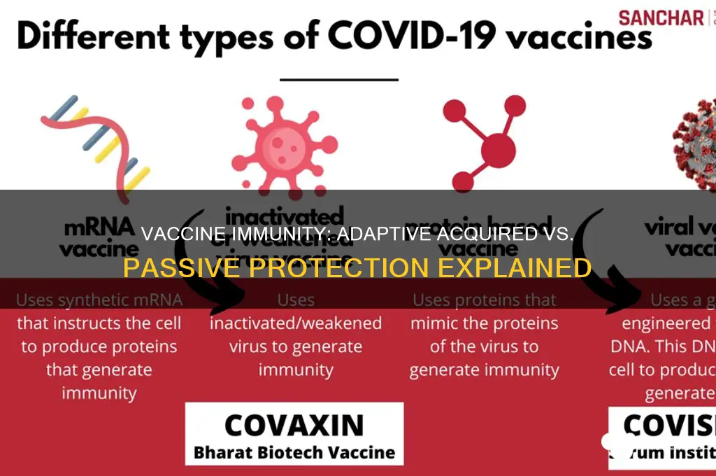 is a vaccine adaptive acquired or passive