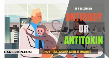 Vaccines, Antibodies, and Antitoxins: Understanding Their Distinct Roles in Immunity