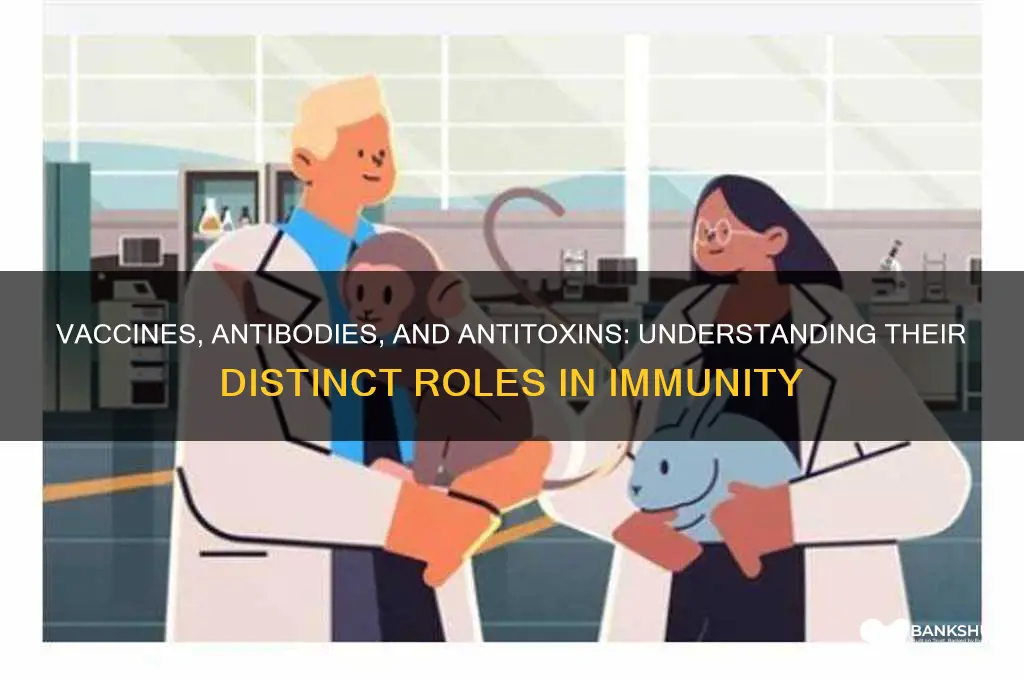 is a vaccine an antibody or antitoxin