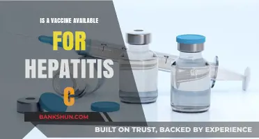 Hepatitis C Vaccine: Current Availability and Prevention Strategies Explained