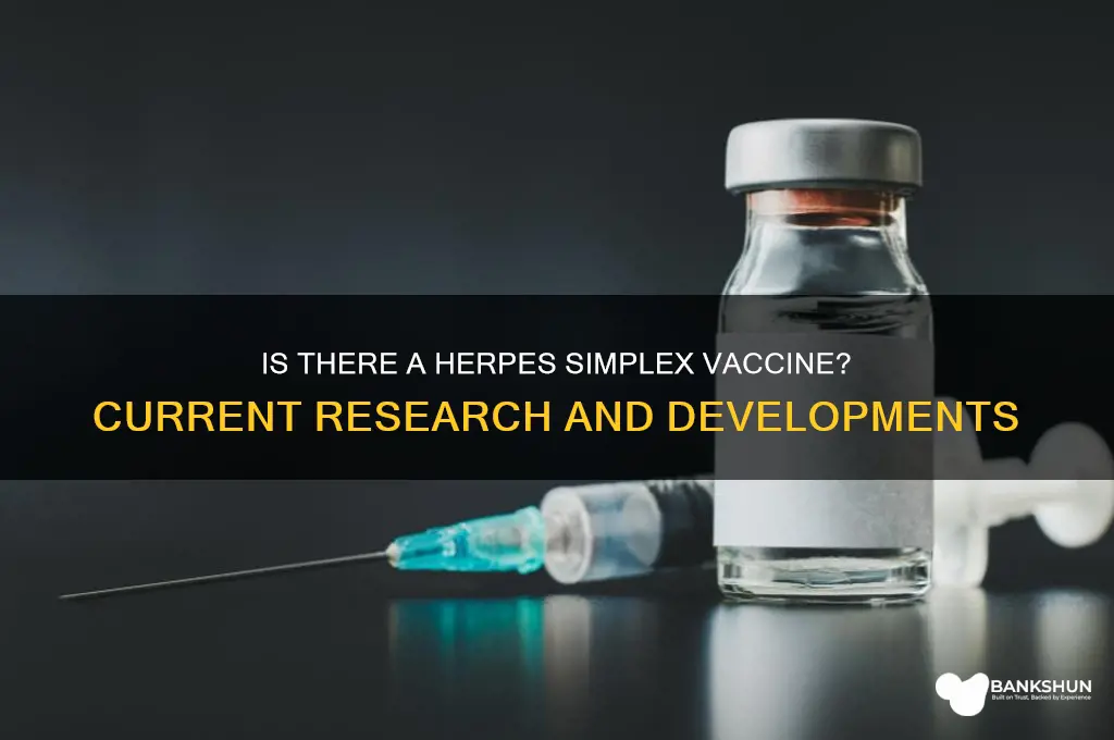 is a vaccine available for herpes simplex