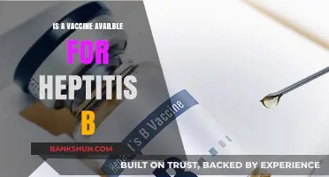 Is There a Vaccine for Hepatitis B? What You Need to Know