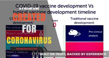 Coronavirus Vaccine Development: Progress, Challenges, and Hope for a Cure