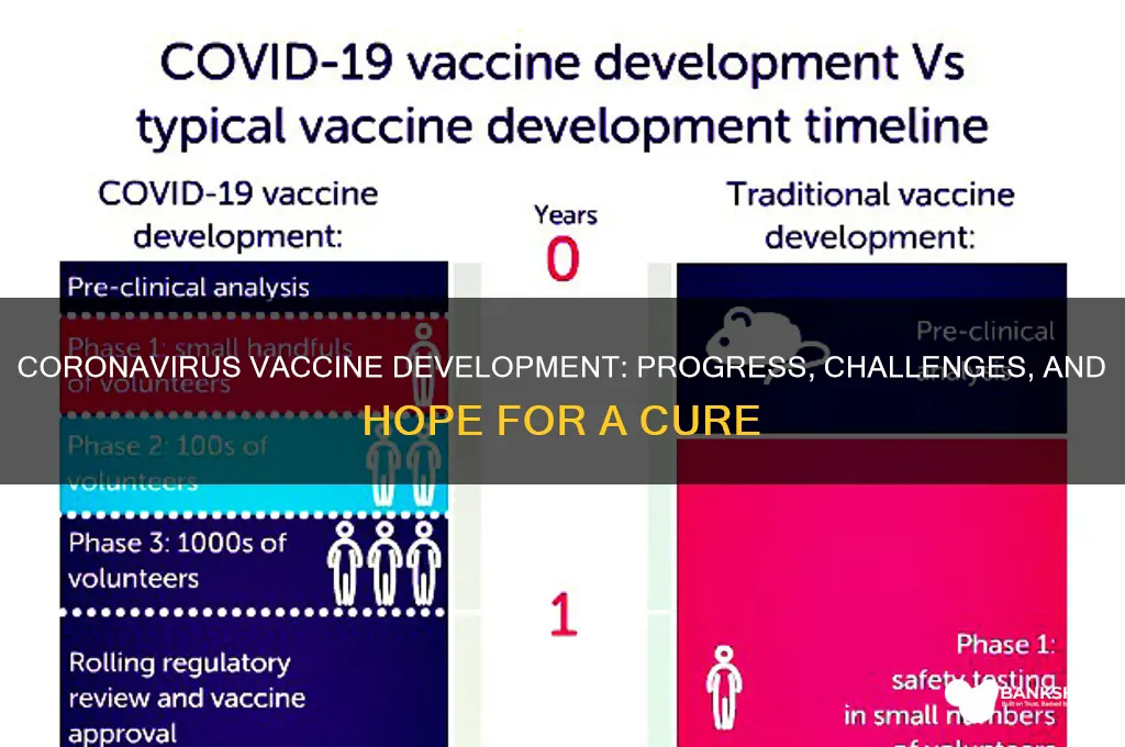is a vaccine being created for coronavirus