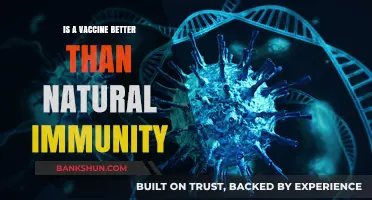 Vaccine vs. Natural Immunity: Which Offers Stronger, Safer Protection?