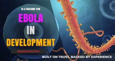 Ebola Vaccine Development: Current Progress and Future Prospects