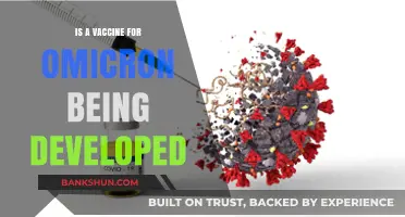 Omicron Vaccine Development: Progress, Challenges, and What to Expect