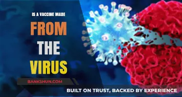 Understanding Vaccines: Are They Made Directly from the Virus?
