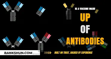 Are Vaccines Antibody-Based? Understanding Their Composition and Function