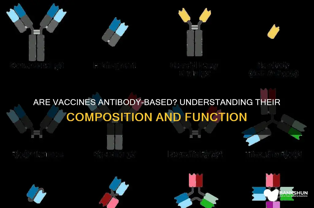 is a vaccine made up of antibodies
