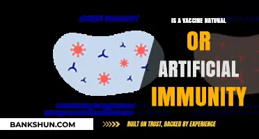 Vaccines: Natural vs. Artificial Immunity Explained Simply and Clearly