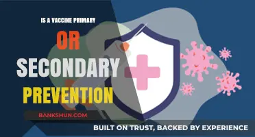Vaccines: Primary or Secondary Prevention? Understanding Their Role in Health