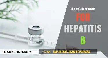 Hepatitis B Vaccine: Availability, Importance, and Protection Explained