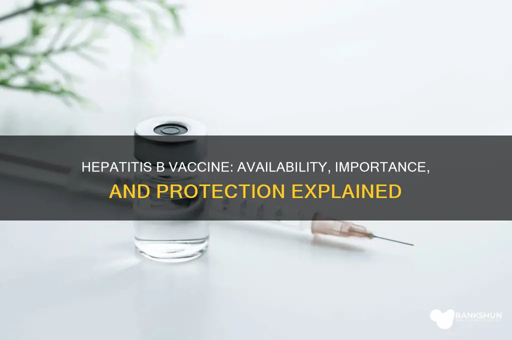 is a vaccine provided for hepatitis b