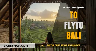 Flying to Bali: Vaccine Requirements and Travel Updates Explained