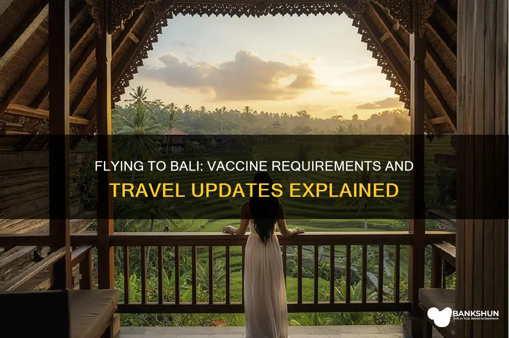 is a vaccine reqiured to flyto bali