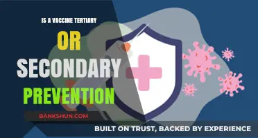 Vaccines: Secondary or Tertiary Prevention? Understanding Their Role in Health