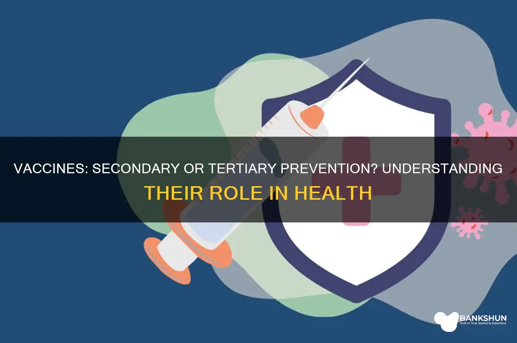 is a vaccine tertiary or secondary prevention