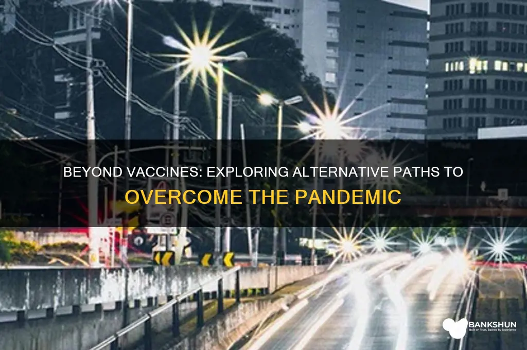 is a vaccine the only way out