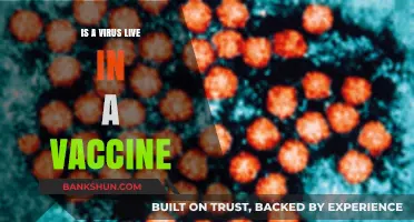 Are Viruses in Vaccines Alive? Unraveling the Science Behind Immunization