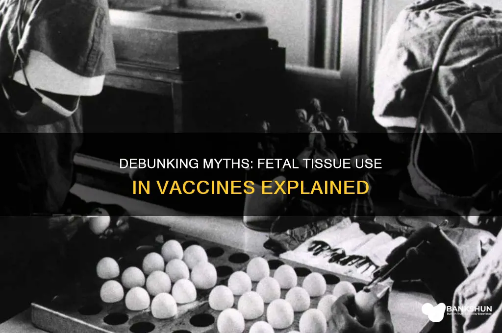 is aborted fetal tissue in any vaccines