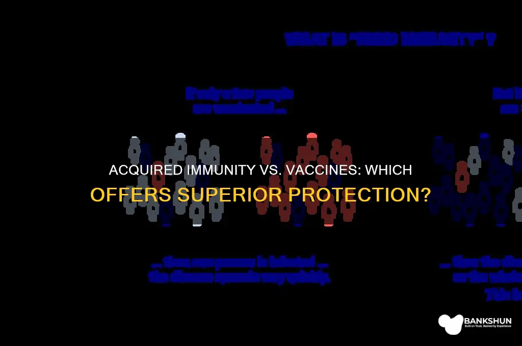 is acquired immunity better than a vaccine