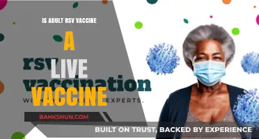 Is the Adult RSV Vaccine Live? Understanding Its Composition and Safety