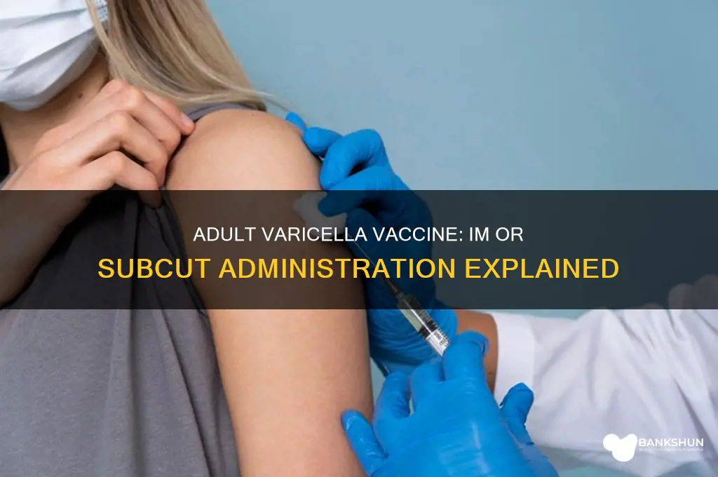 is adult varicella vaccine im or subcut