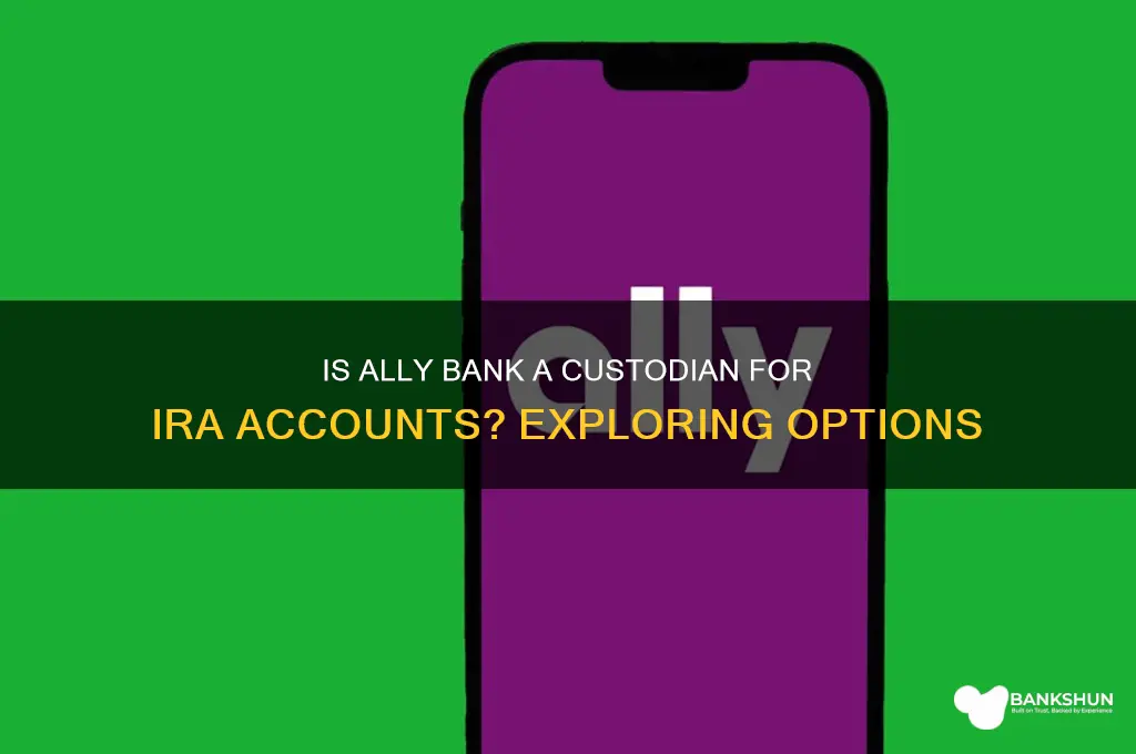 is ally bank a custodian for ira