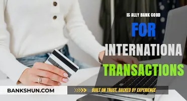 Is Ally Bank Ideal for International Transactions? Pros, Cons, and Fees