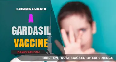 Aluminium Adjuvant in Gardasil Vaccine: Safety, Concerns, and Facts