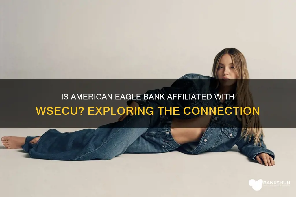 is american eagle bank a wsecu branch