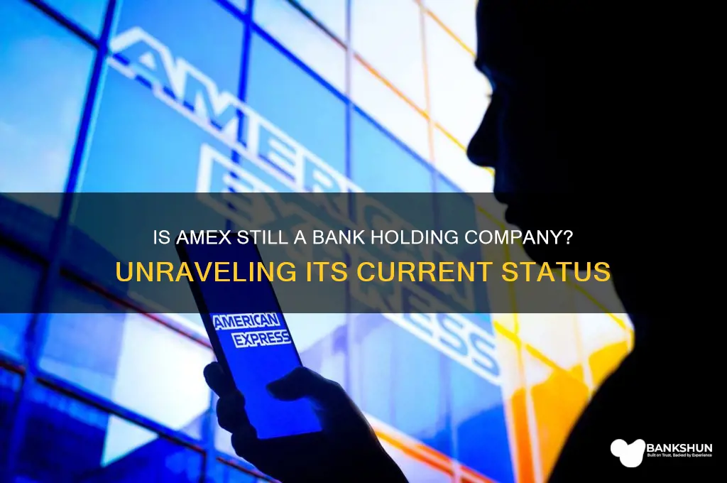 is amex still a bank holding company