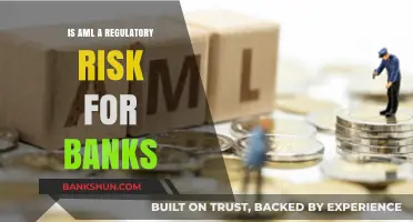 AML Compliance: Navigating Regulatory Risks in the Banking Sector