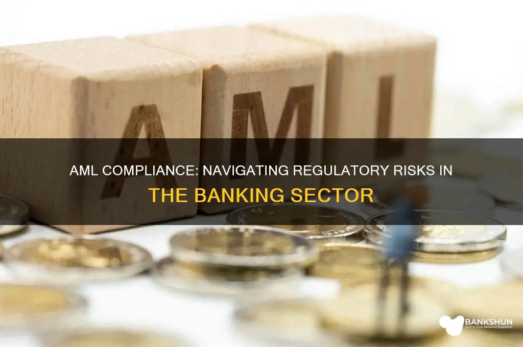 is aml a regulatory risk for banks