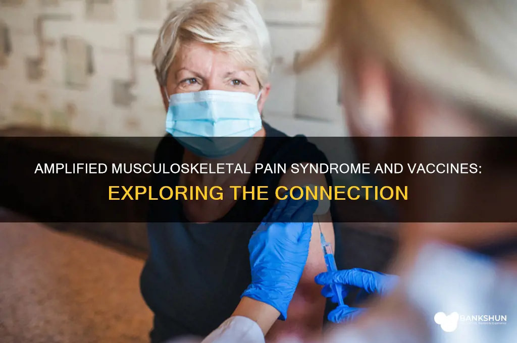 is amplified musculoskeletal pain syndrome and vaccines