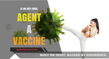 Are Anti-Viral Agents the Same as Vaccines? Key Differences Explained