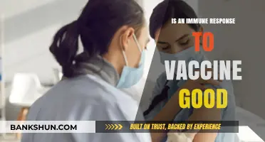 Is an Immune Response to Vaccines Beneficial? Understanding the Science