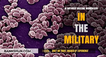 Is Anthrax Vaccination Mandatory for Military Personnel? Key Facts Explained