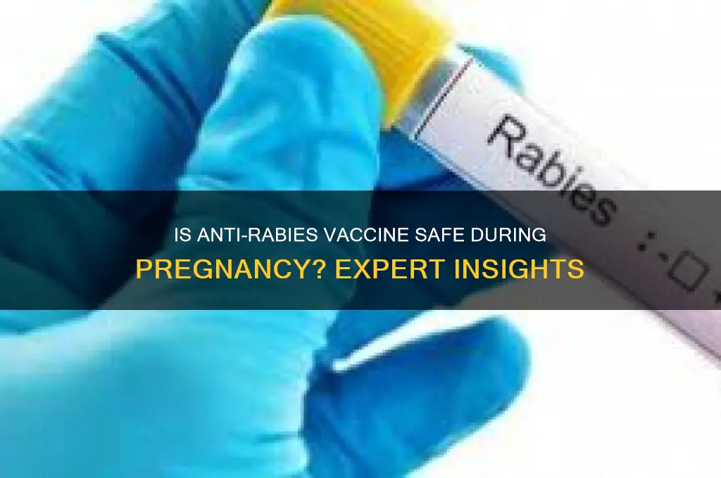 is anti rabies vaccine contraindicated in pregnancy