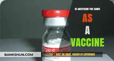 Antitoxin vs. Vaccine: Understanding the Key Differences and Uses
