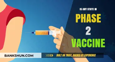 Which States Have Progressed to Phase 2 COVID-19 Vaccination Rollout?