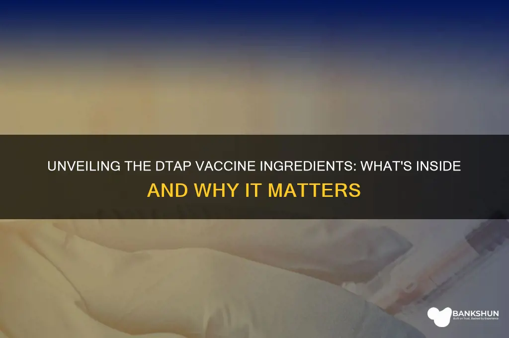is anything in the dtap vaccine ingredients